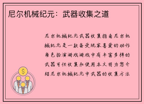 尼尔机械纪元：武器收集之道