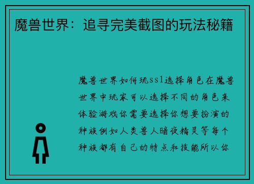 魔兽世界：追寻完美截图的玩法秘籍